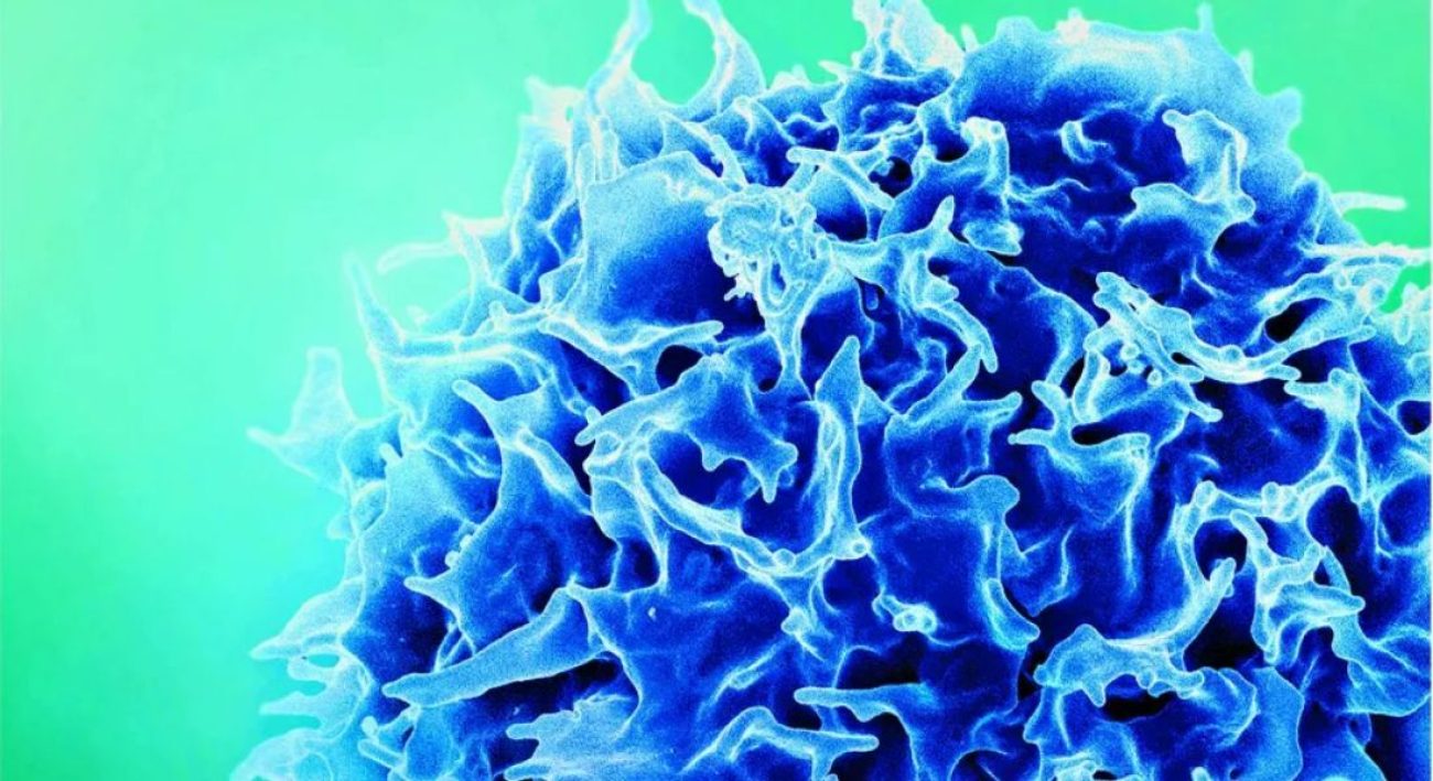 brasil-avanca-na-producao-nacional-de-terapia-car-t-e-fortalece-polo-de-inovacao-em-saude