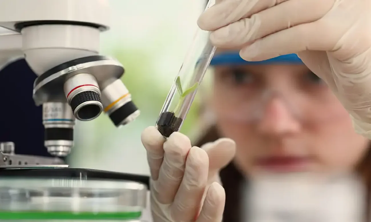 cnpq-anuncia-vencedoras-do-premio-mulheres-e-ciencia